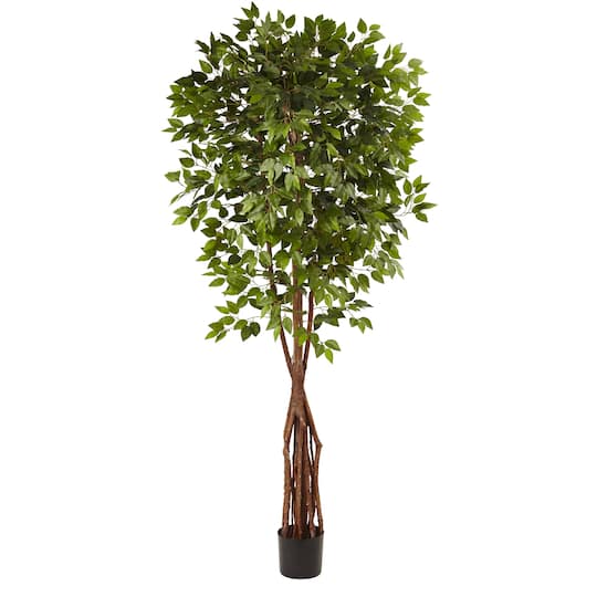 7.5ft. Potted Super Deluxe Ficus Tree